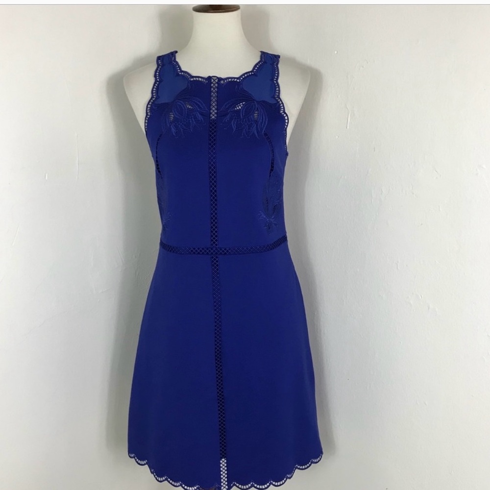 Ted Baker Elegant Blue Lace Trim Dress